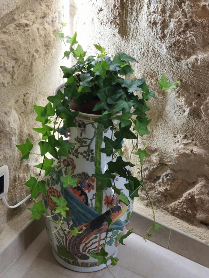 Santa Lucia Apartment Bari Extérieur photo